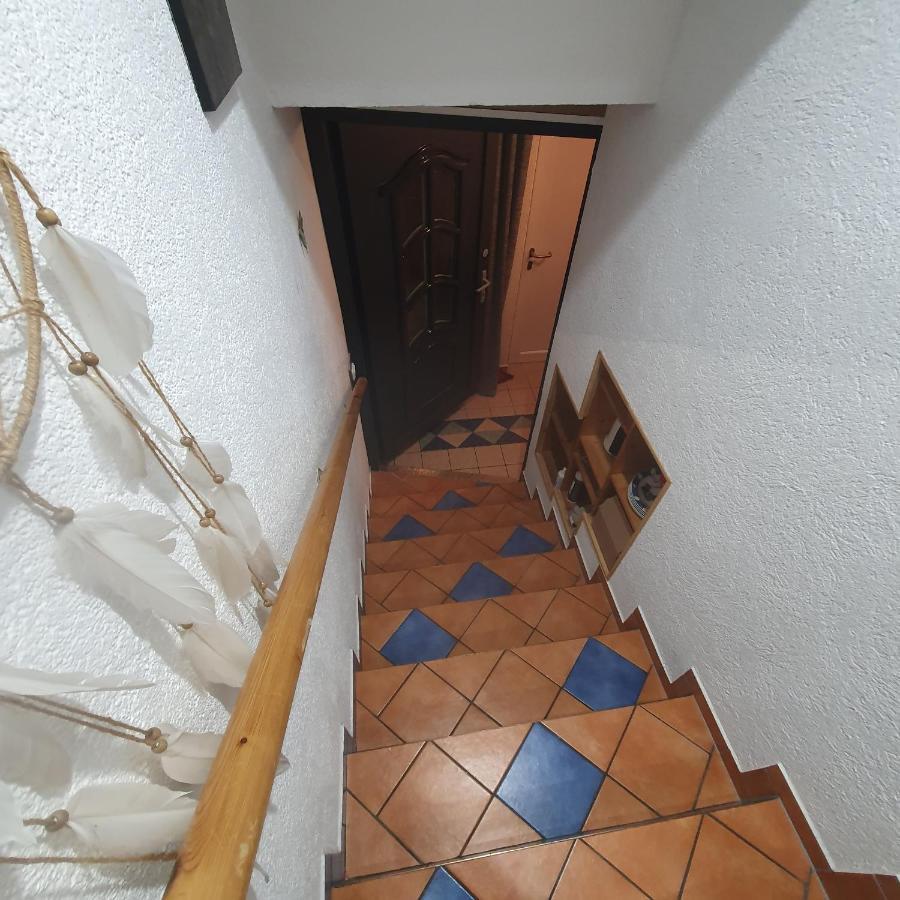 Ferienwohnung Zum Moor مونشاو المظهر الخارجي الصورة