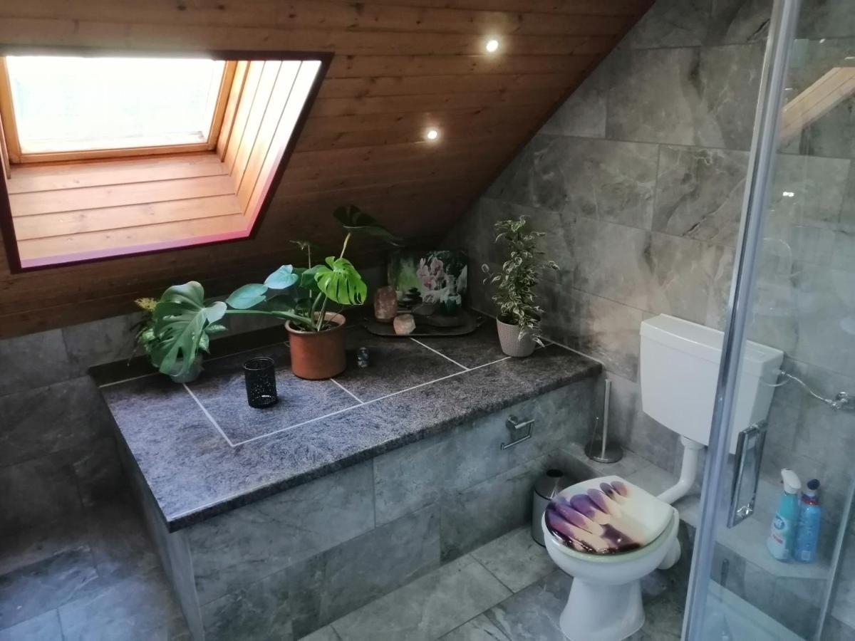 Ferienwohnung Zum Moor مونشاو المظهر الخارجي الصورة